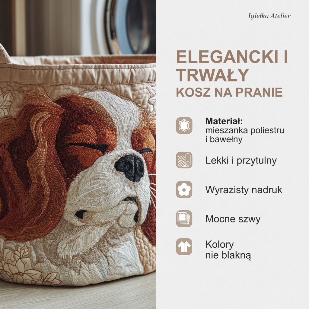 Cechy kosza na pranie