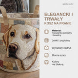 Cechy kosza na pranie
