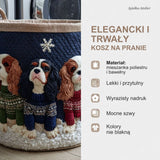 Cechy kosza na pranie