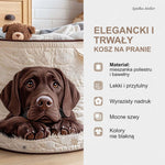 Cechy kosza na pranie