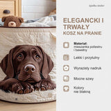 Cechy kosza na pranie